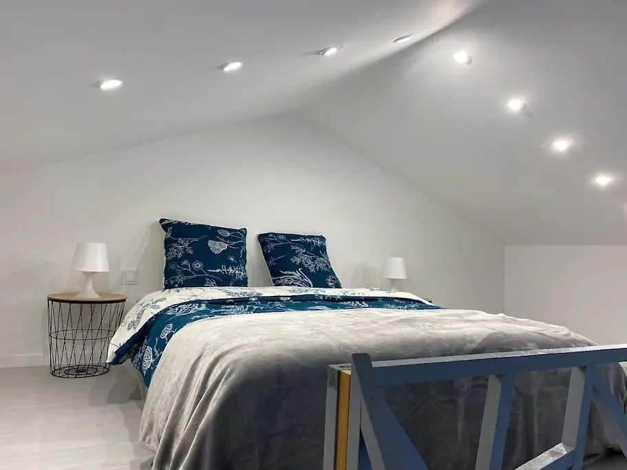 Lejlighed Logement Avec Mezzanine Tremblay-en-France